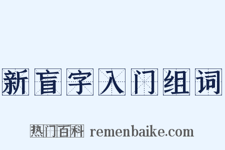新盲字入门组词是什么意思的图片